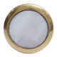 White Shell Brass Dresser Knob